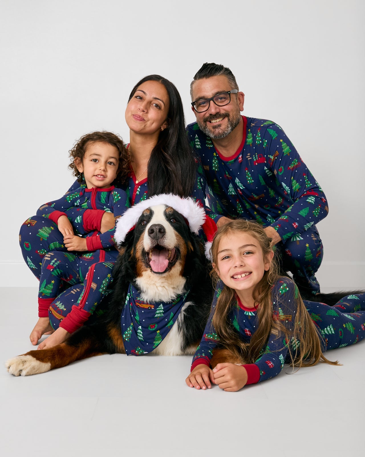 Navy Tree Traffic Pet Bandana