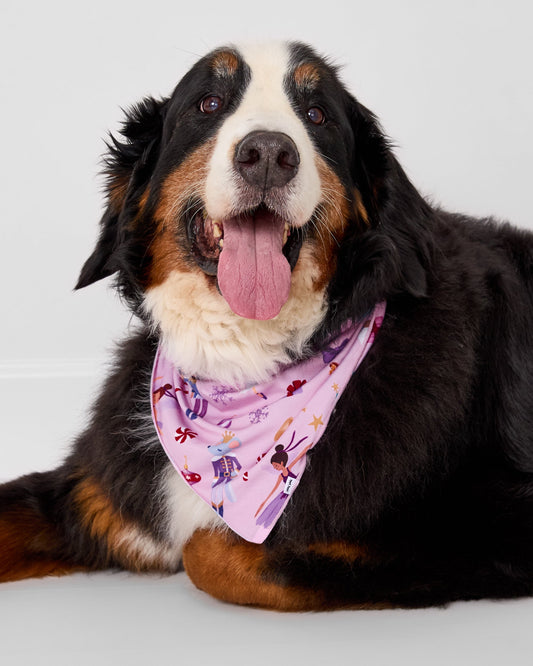 Nutcracker Ballet Pet Bandana