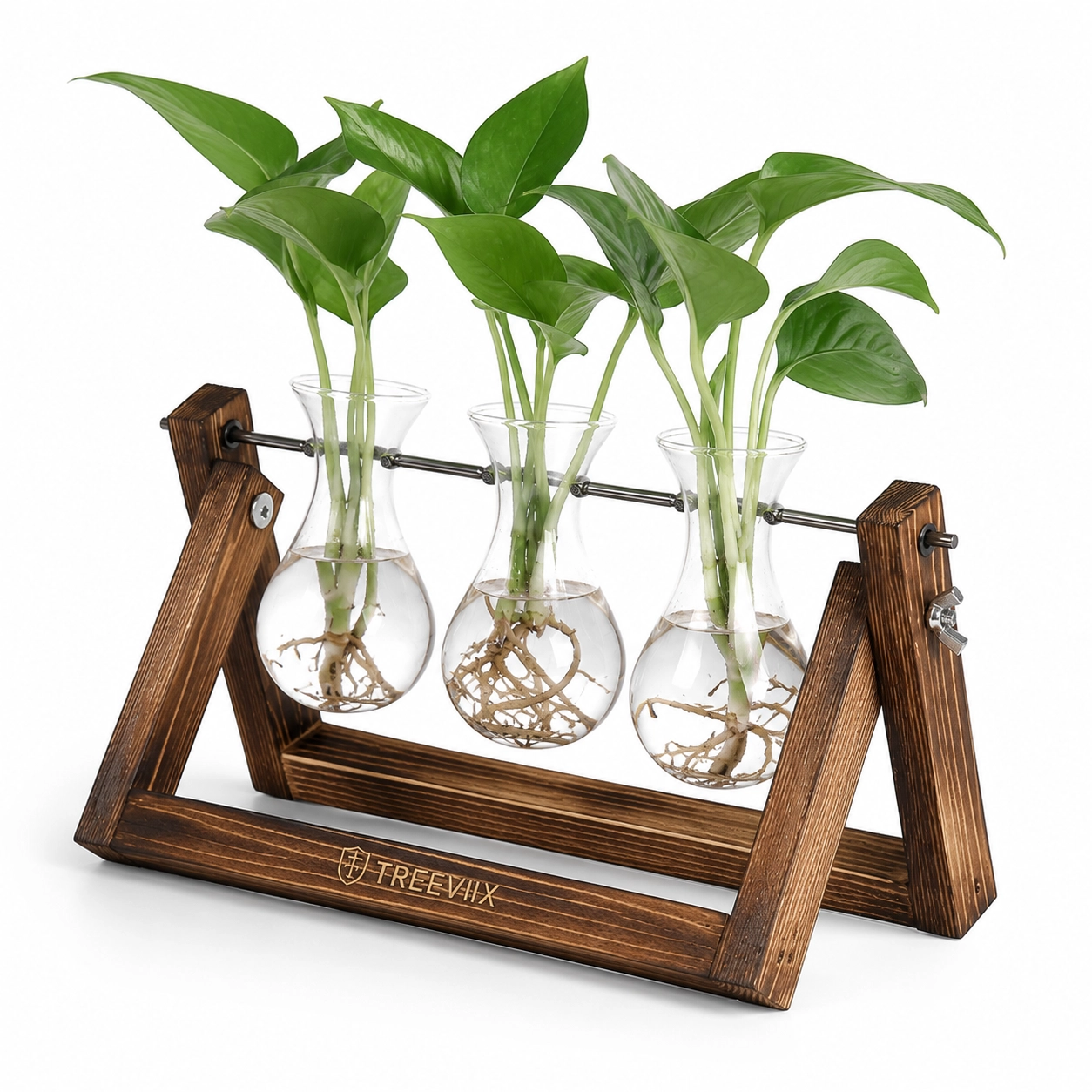 Treeviix | 3 Glass Plant Propagation Station with Wooden Stand - Image 4