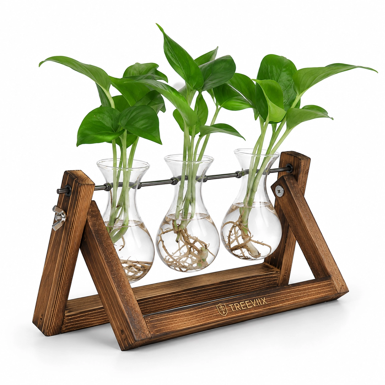 Treeviix | 3 Glass Plant Propagation Station with Wooden Stand - Image 3