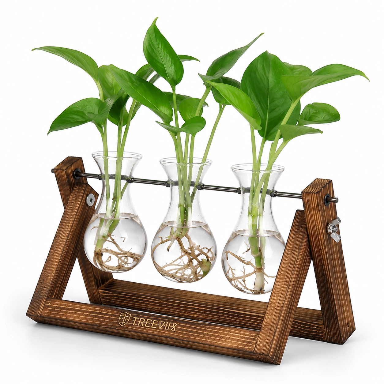 Treeviix | 3 Glass Plant Propagation Station with Wooden Stand - Image 2
