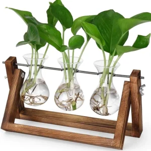 3 Glass Plant Propagation Station with Wooden Stand