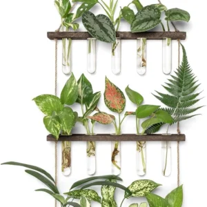 3-Tier Wall Hanging Plant Propagation Station with 15 Glass Tubes