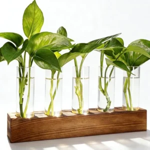 Plant Propagation Station with Wooden Stand & 5 Glass Tubes