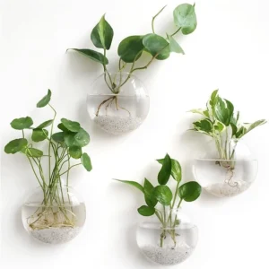 Wall Hanging Glass Plant Propagation Station (Set of 4)
